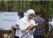 Sinergi Tiga Pihak: Jasaraharja Putera, Pemerintah, dan Masyarakat Tanam Pohon di Belitung