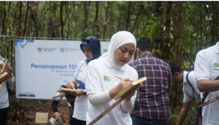 Sinergi Tiga Pihak: Jasaraharja Putera, Pemerintah, dan Masyarakat Tanam Pohon di Belitung