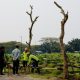 Lahan Kian Sesak, 11 TPU di Jakarta Barat Kini Terapkan Sistem Makam Tumpang