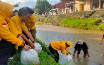 Wujud Nyata Kepedulian Terhadap Lingkungan, Golkar Klaten Tebar 61 ribu Benih Ikan Nila
