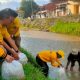 Wujud Nyata Kepedulian Terhadap Lingkungan, Golkar Klaten Tebar 61 ribu Benih Ikan Nila